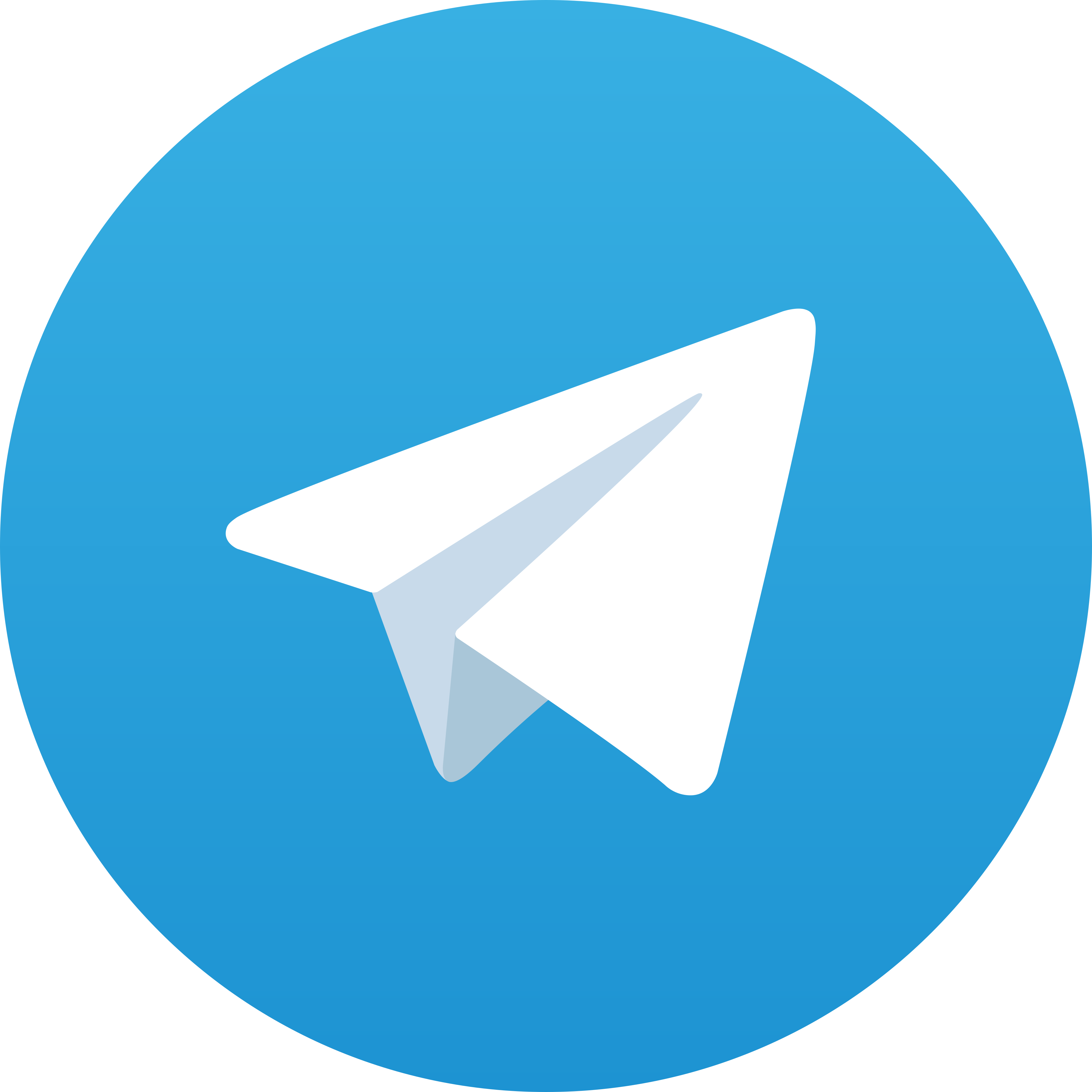 Telegram TESLA333